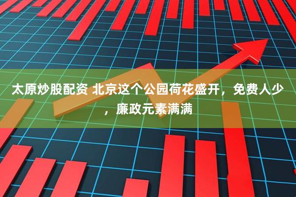 太原炒股配资 北京这个公园荷花盛开，免费人少，廉政元素满满