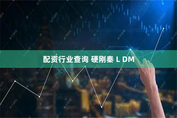 配资行业查询 硬刚秦 L DM